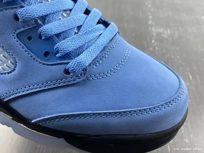 Rep LUCY 5 Jordan UNC DV1310-401 Air 0508